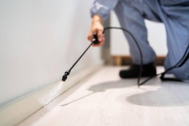 Bed Bug Pre-Treatment Preparation Assessment in Twin Lake