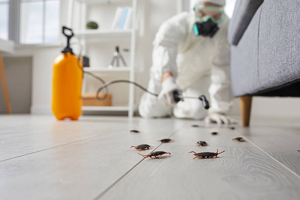 Post-Treatment Bed Bug Interceptor Monitoring in Twin Lake