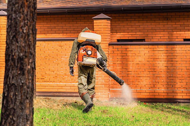 Bed Bug Clearance Verification and Documentation in Twin Lake